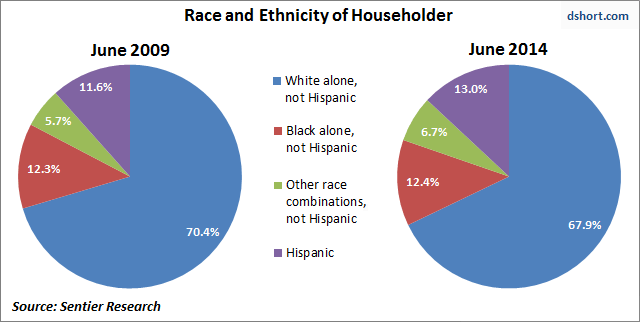 Race and Ethnicity of Households