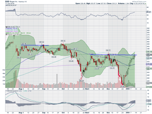 BIIB Daily Chart