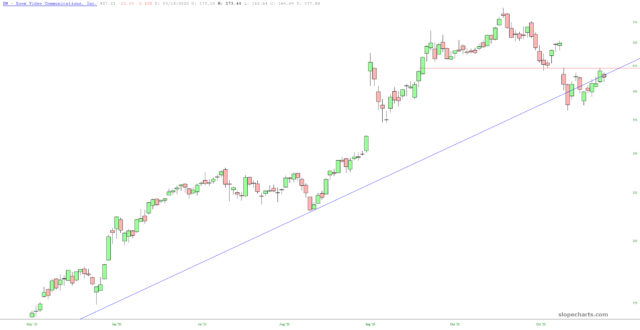 Zoom Videoconferencing Daily Chart.