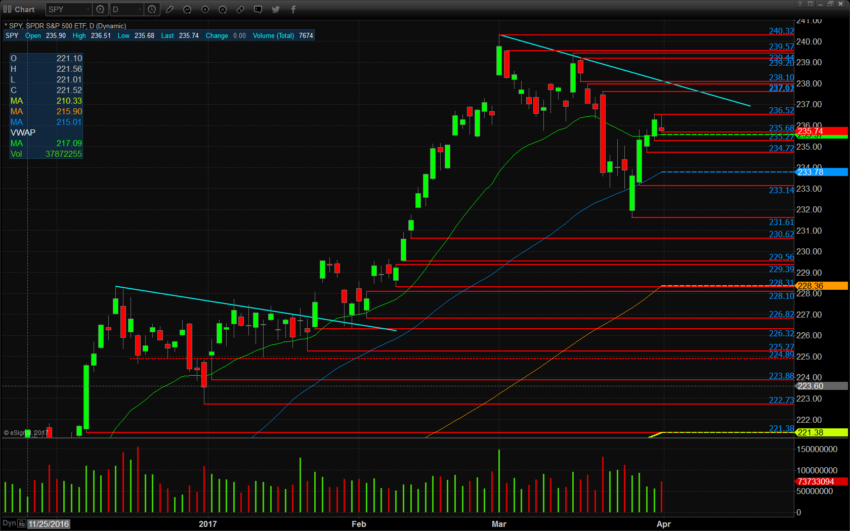 SPY Daily Chart