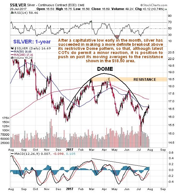 Silver Daily