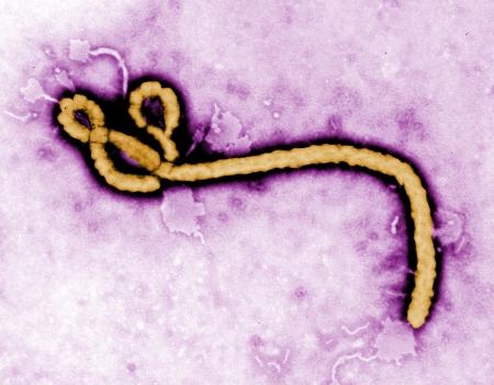 © Wikimedia Commons. Johnson & Johnson received a 5 boost from a European public-private partnership meant to speed development of its Ebola vaccine.