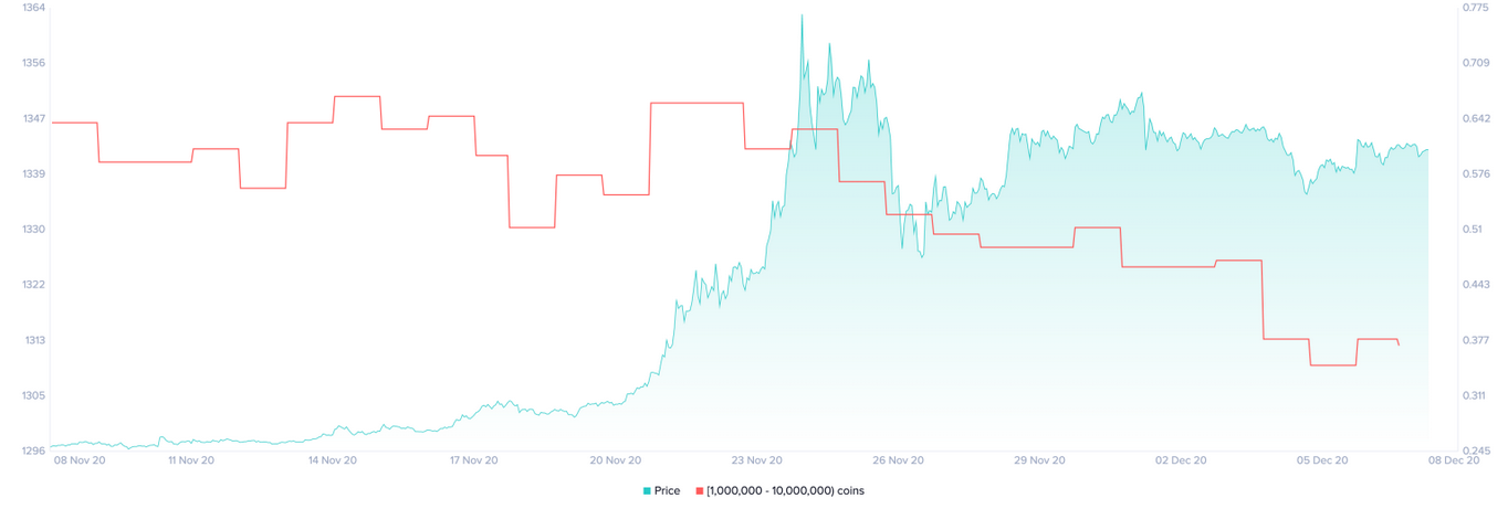 XRP Holder Distribution