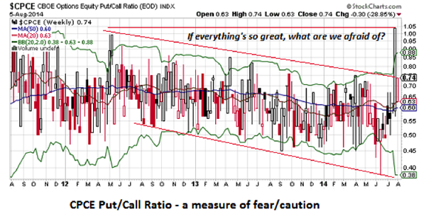 Put/Call Ratio