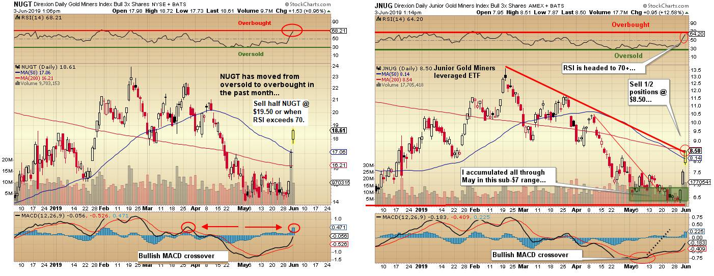 NUGT & JNUG Daily Chart