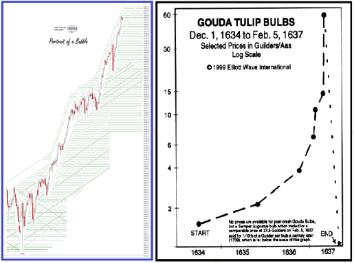 The Guda Tulip Bubble