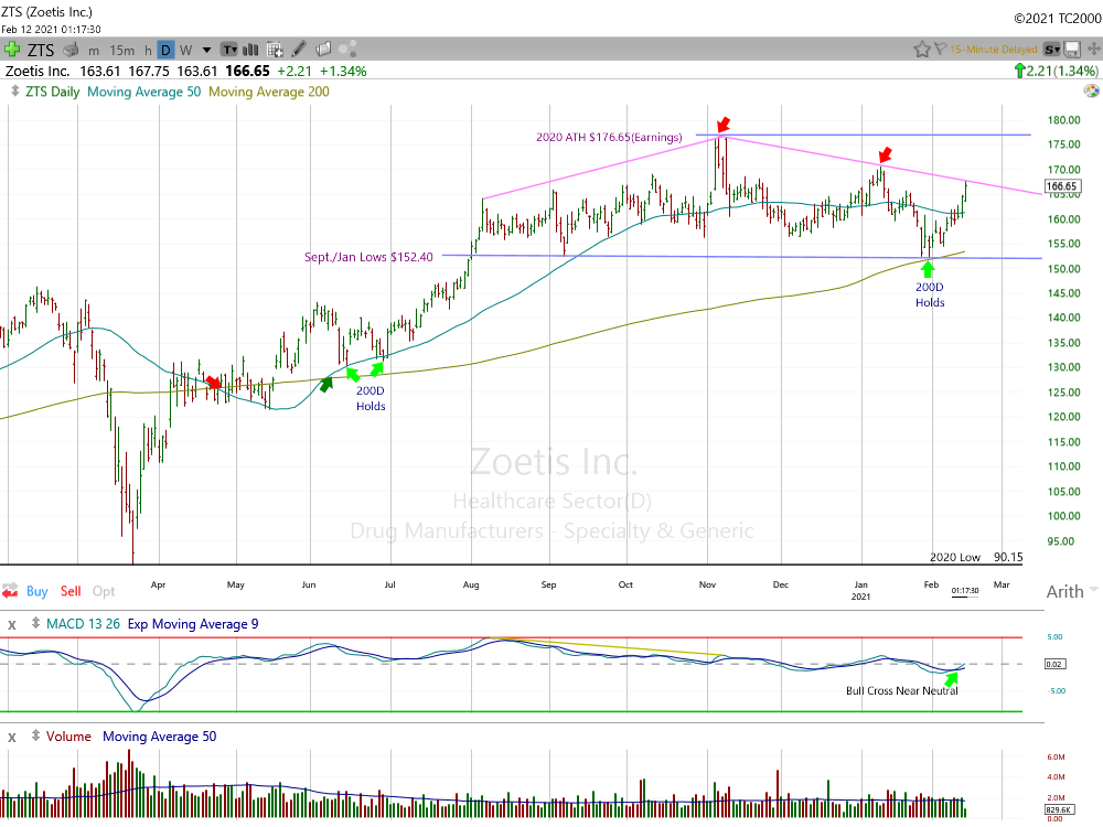 Zoetis Daily Chart.