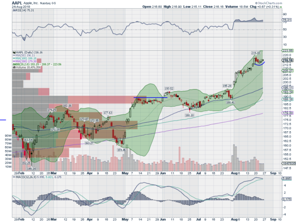 AAPL Daily Chart