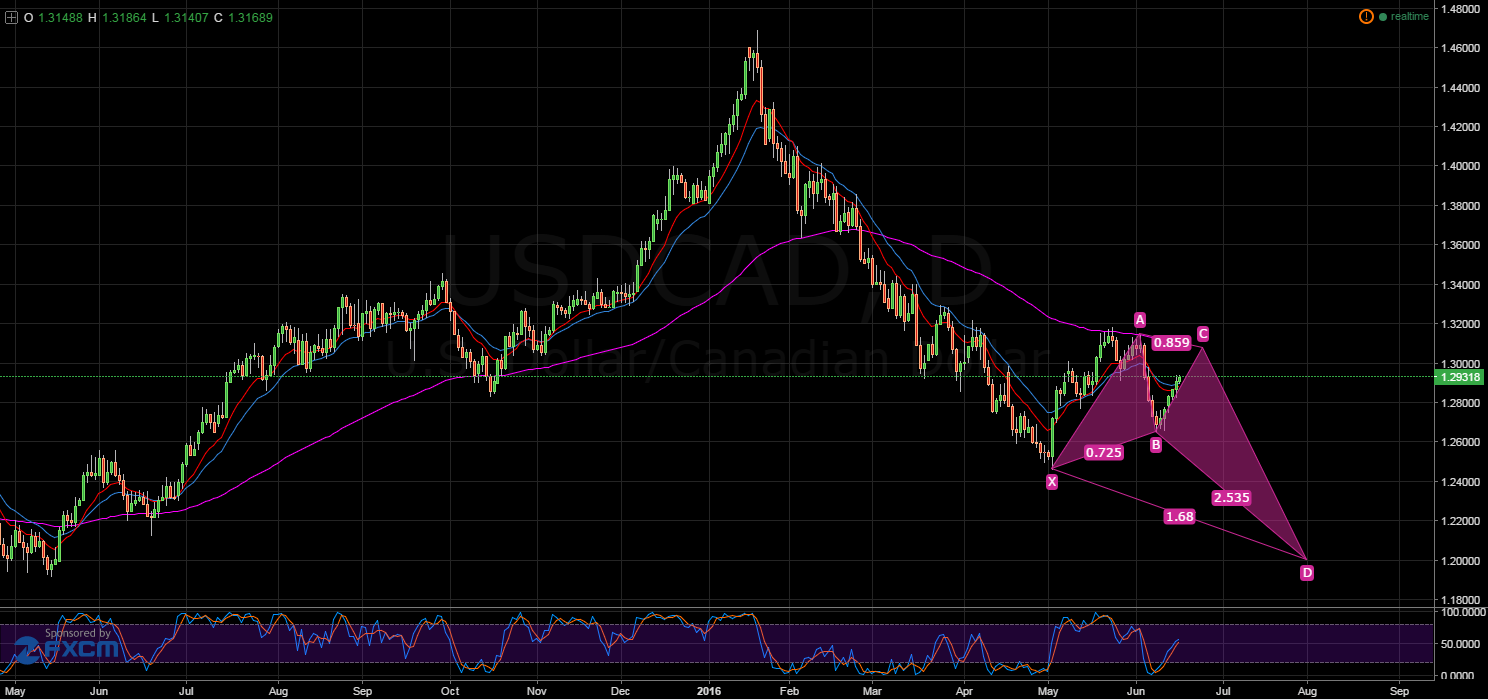 USD/CAD Daily Chart