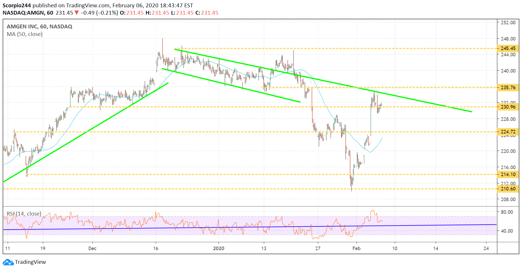 Amgen Inc Chart