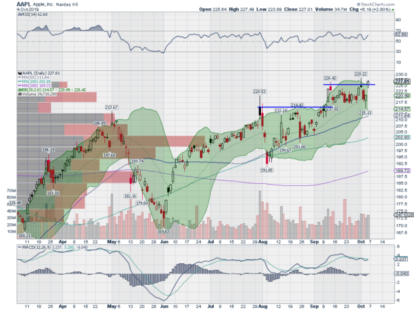 Apple Inc Daily Chart