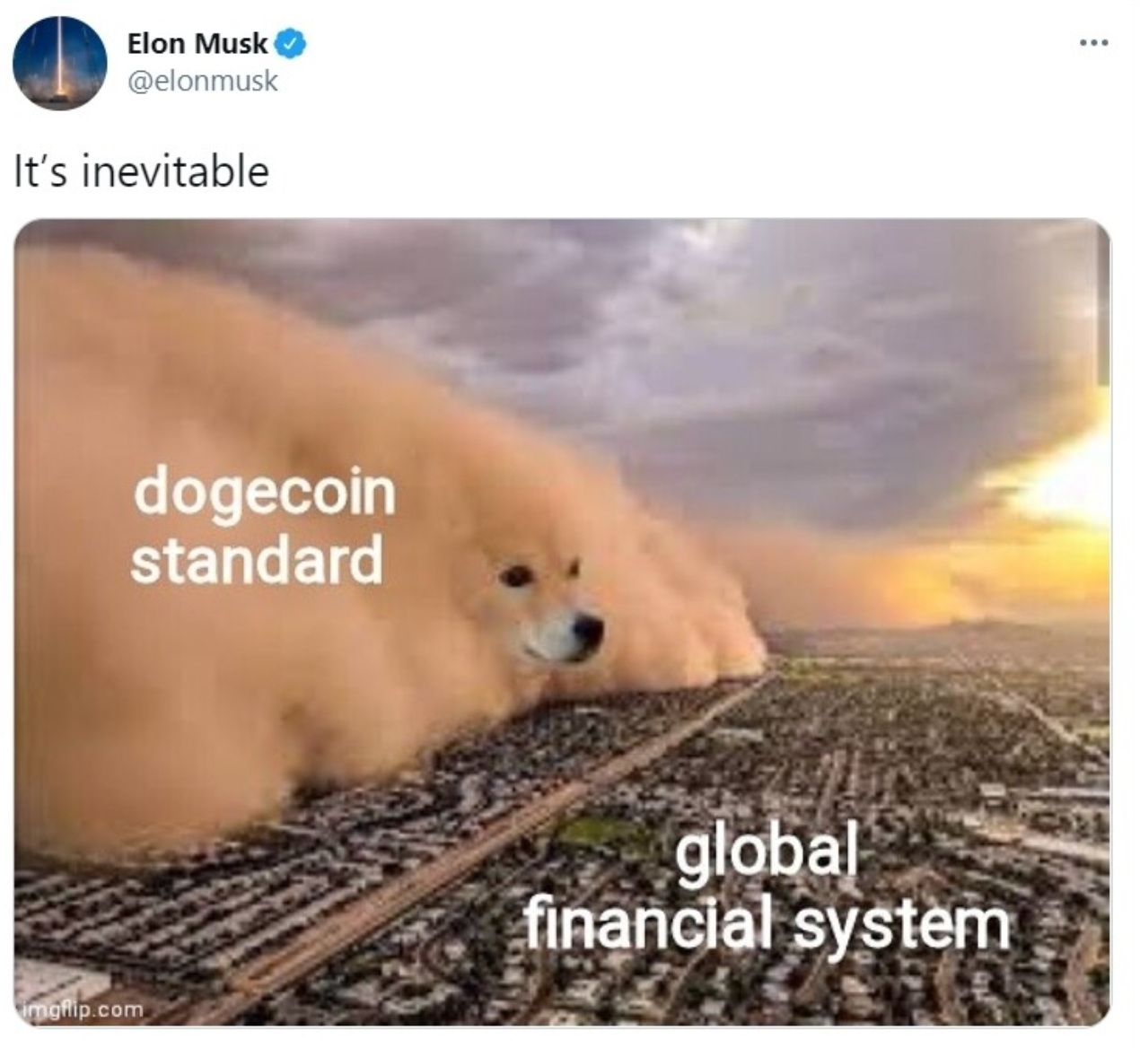 DOGE Tweet