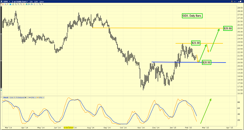 Daily Gold Miners