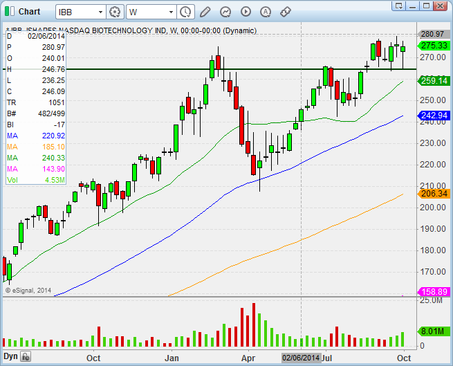 IBB Weekly