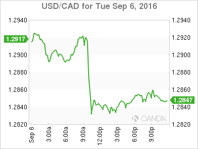 USD/CAD Sep 6 Chart