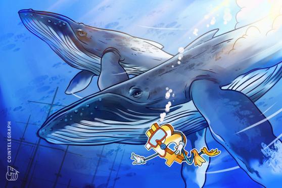 Bitcoin price dives back under $16,900 as whale deposits spike again 