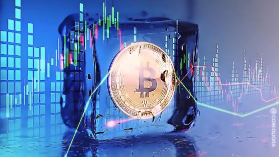 Investorshub CEO Says BTC Is Facing 4-Year Cycle To Hit $120k ATH