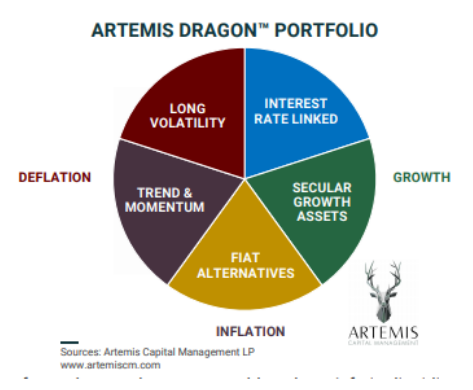 Artemis Dragon Portfolio