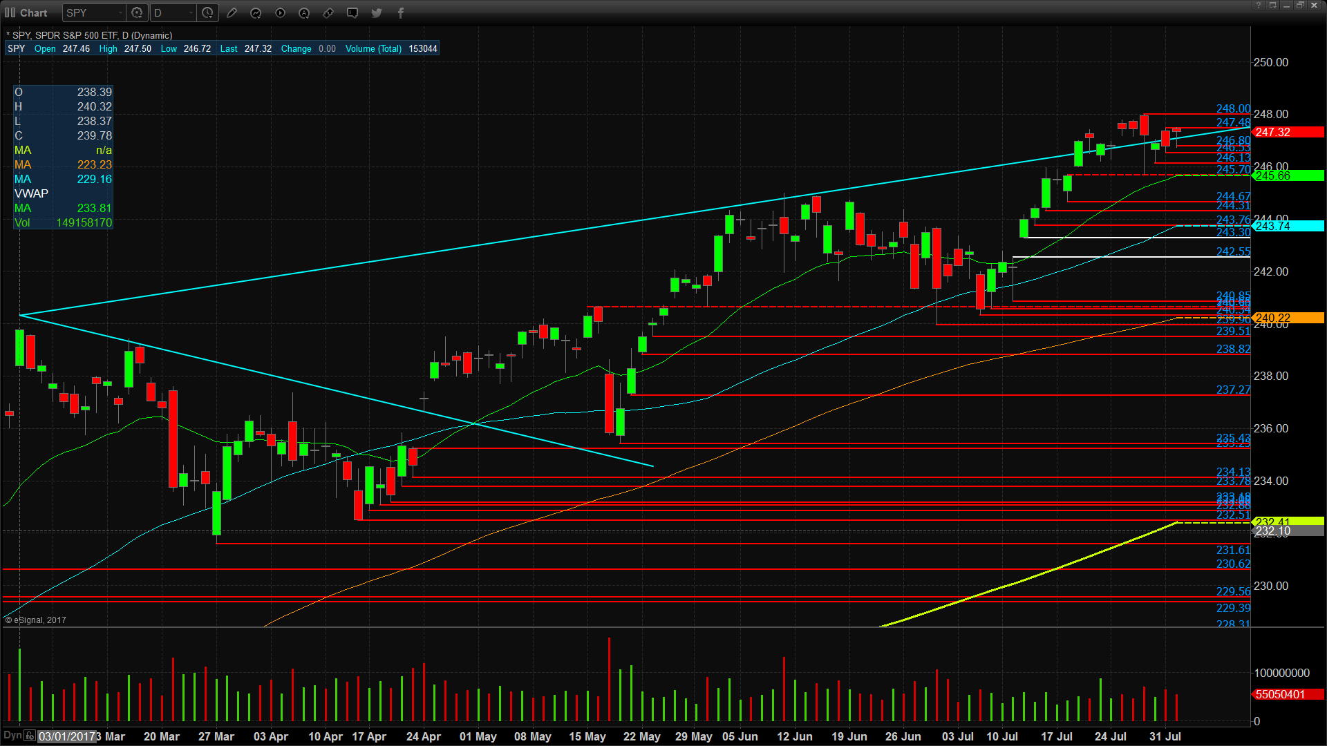 SPY Daily