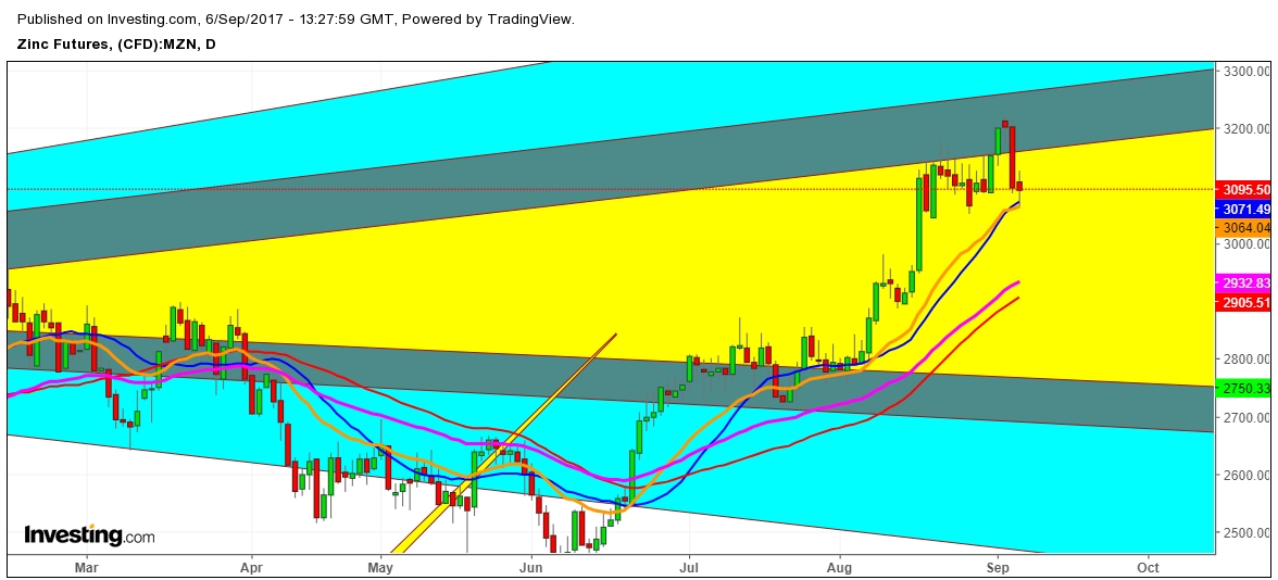 Zinc Futures Price Daily Chart 