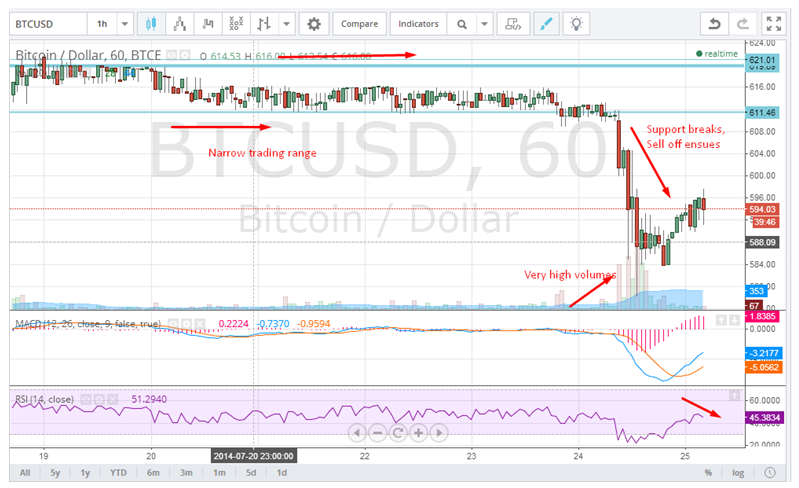 Hourly Chart For BTC/USD