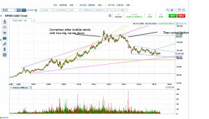 Gold Top - Two Big Waves Down, then Consolidation Before Plunge