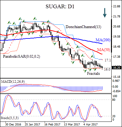 Sugar Daily Chart