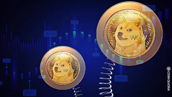 DOGE Witnesses Sharp Decline Ahead of Musk’s SNL Debut