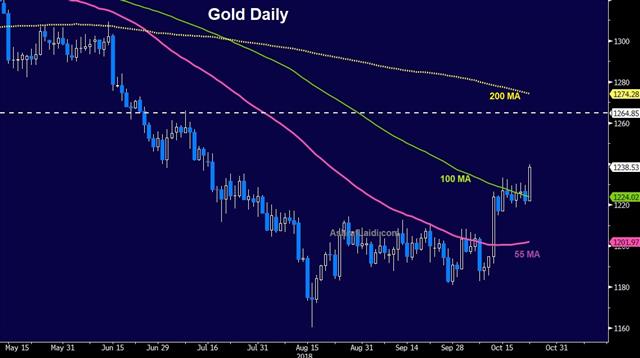 Gold Daily Chart