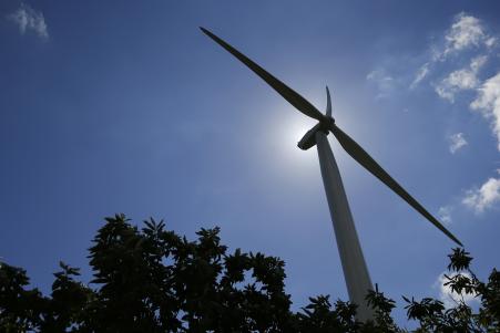 © Reuters. Companies could issue a record  billion in 'green bonds' this year to help finance clean energy projects such as wind farms and solar panel installations, Standard & Poor's Rating Services said Monday.