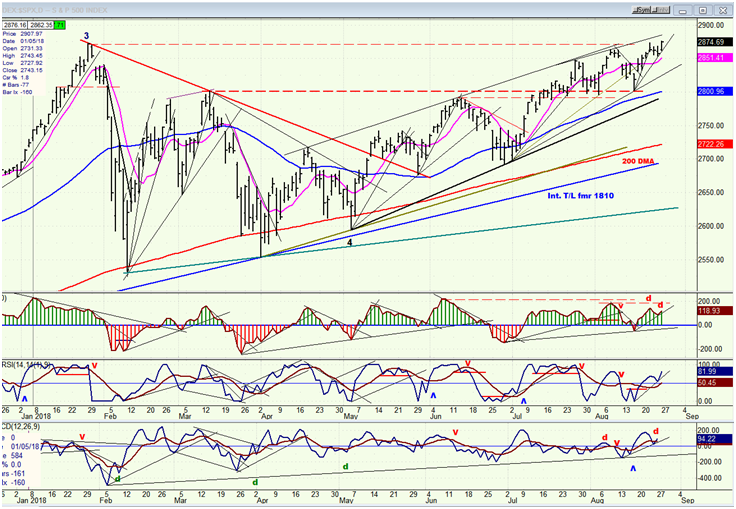 SPX Daily Chart