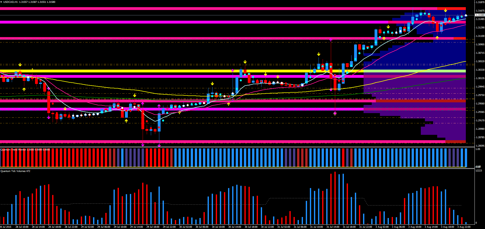 USD/CAD 1-Hour Chart