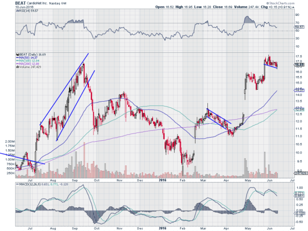 BioTelemetry Daily Chart