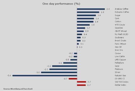 One Day Performance