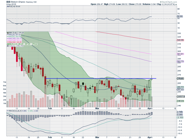 IBB Daily Chart