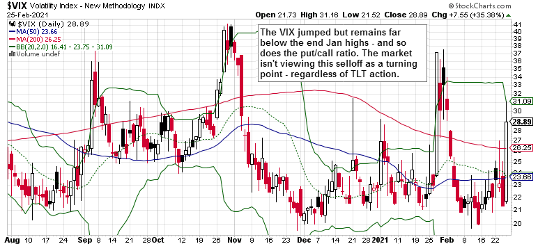 VIX Daily Chart.