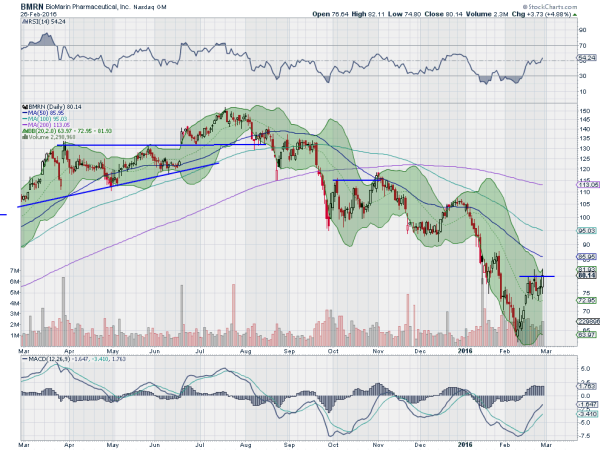 BMRN Daily Chart