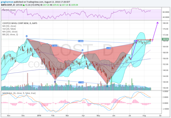 COST Daily Chart