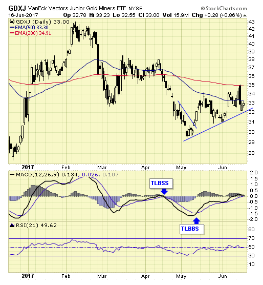 GDXJ Daily Chart