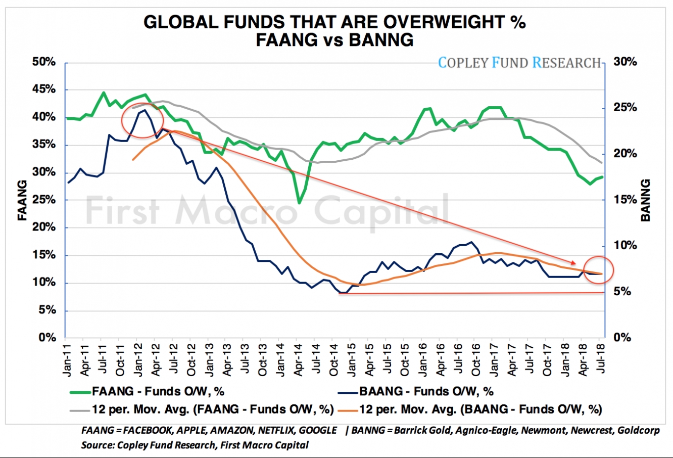 Global Funds in FAANG vs BANNG