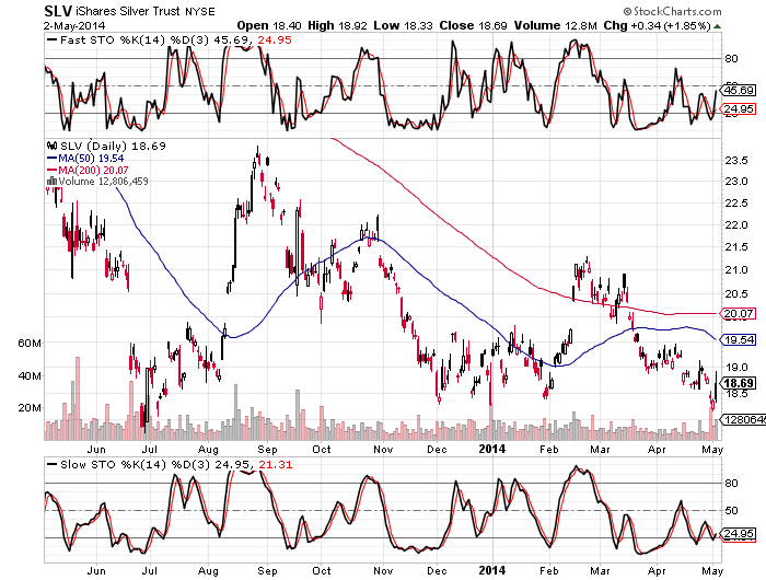 1-Year SLV