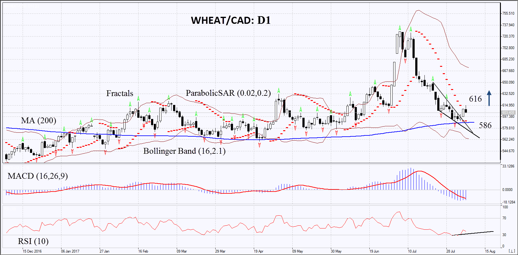Wheat/CAD Daily