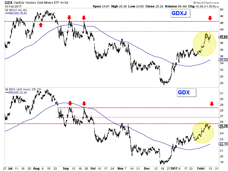 GDX:GDXJ Hourly Chart