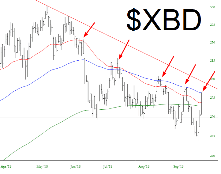 XBD Chart