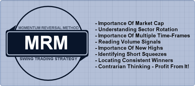 MRM Strategy