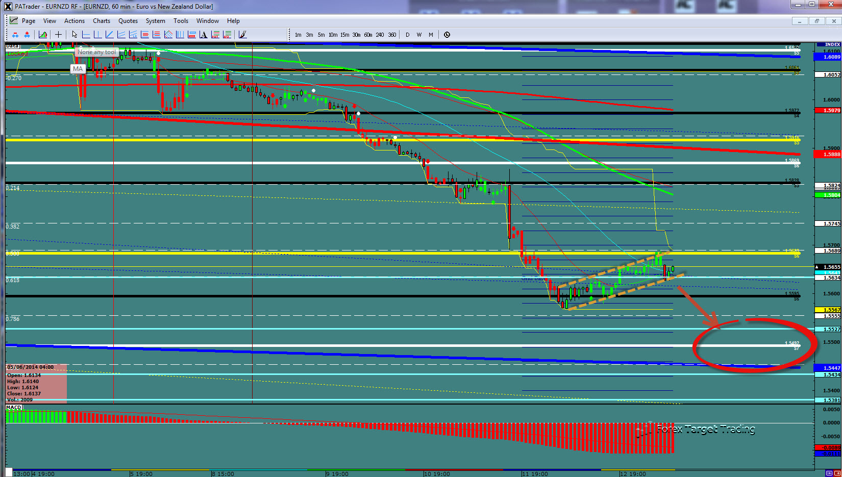 EUR/NZD Daily Chart