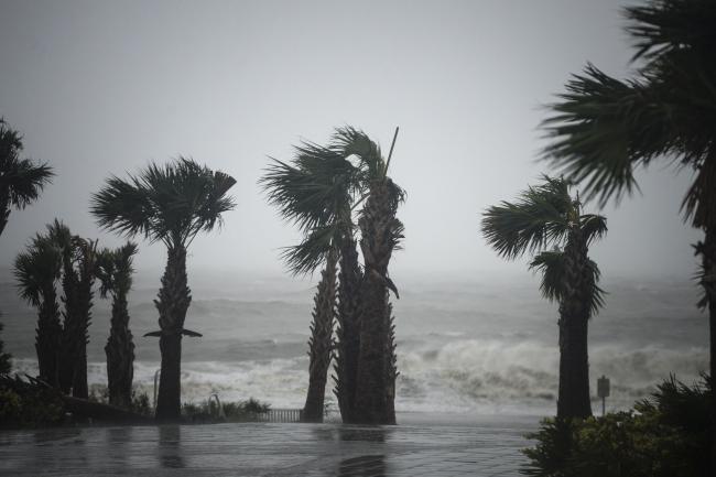 © Bloomberg. Heavy winds whip palm trees during Hurricane Dorian in Myrtle Beach, South Carolina, U.S., on Thursday, Sept. 5, 2019.  Photographer: Charles Mostoller/Bloomberg