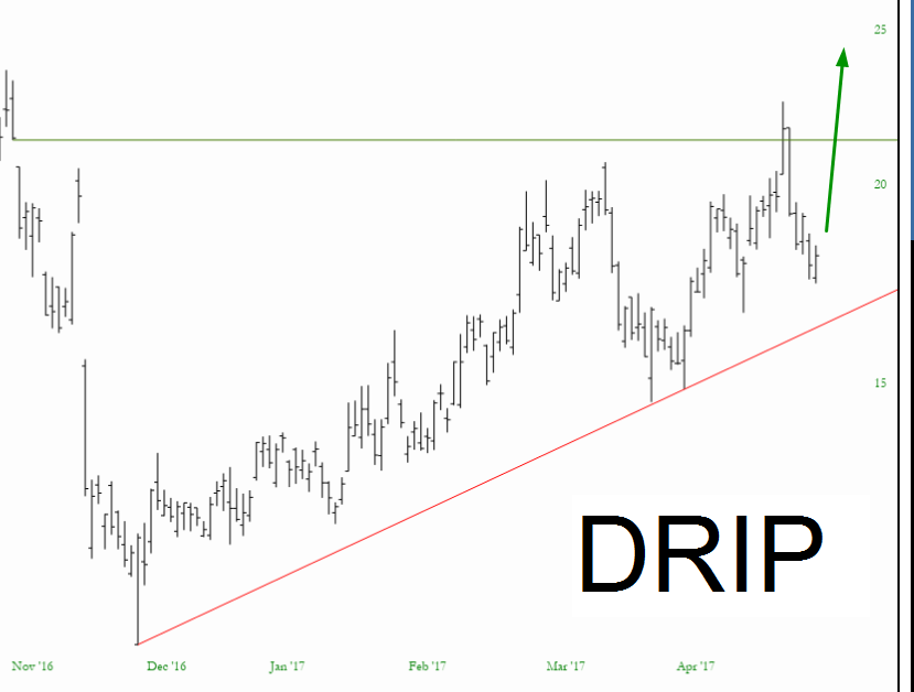 DRIP Chart