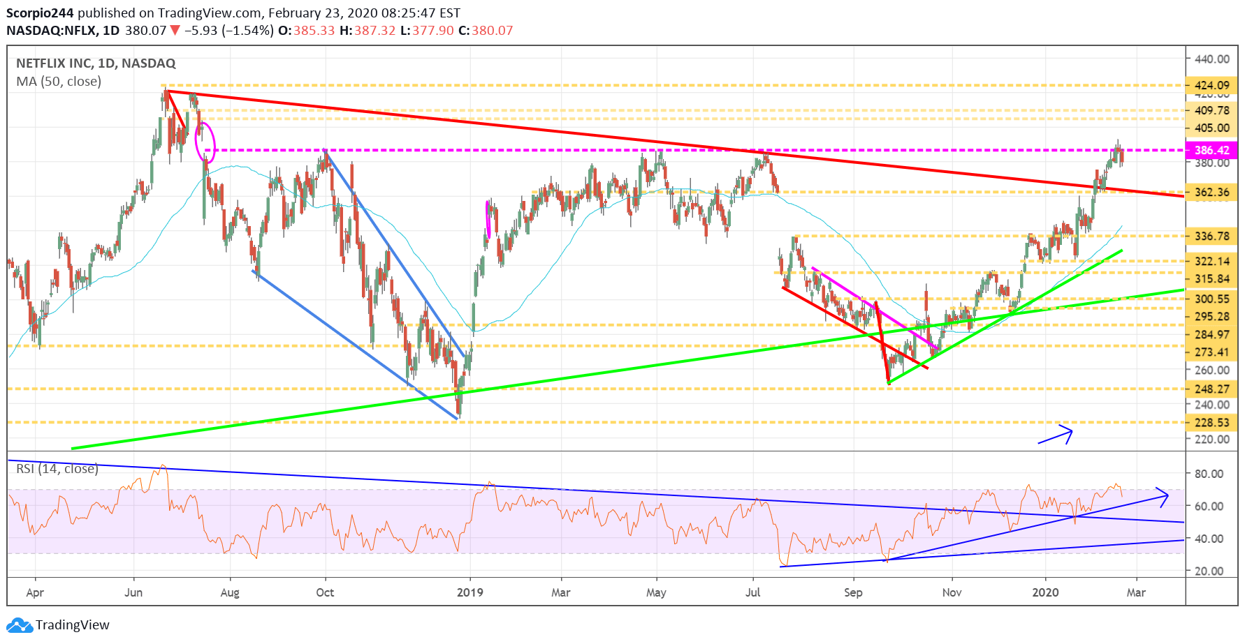 Netflix Inc Daily Chart