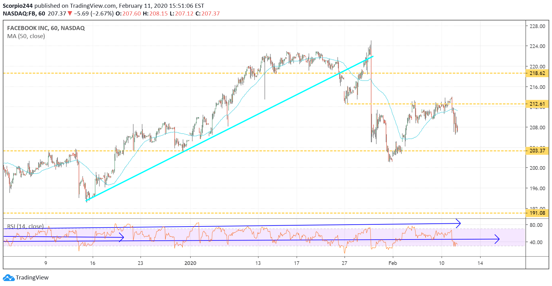 Facebook Inc Chart